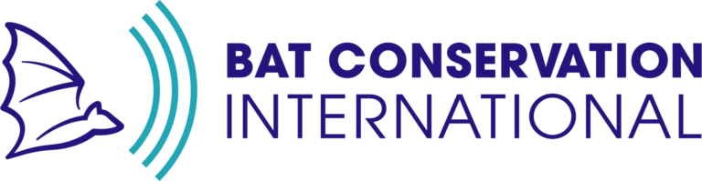 19_BCI_LOGO_PRIMARY_RGB_FULL_COLOR