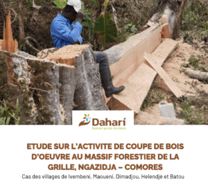 Etude bois d'œuvre sur le Massif de La Grille 2023