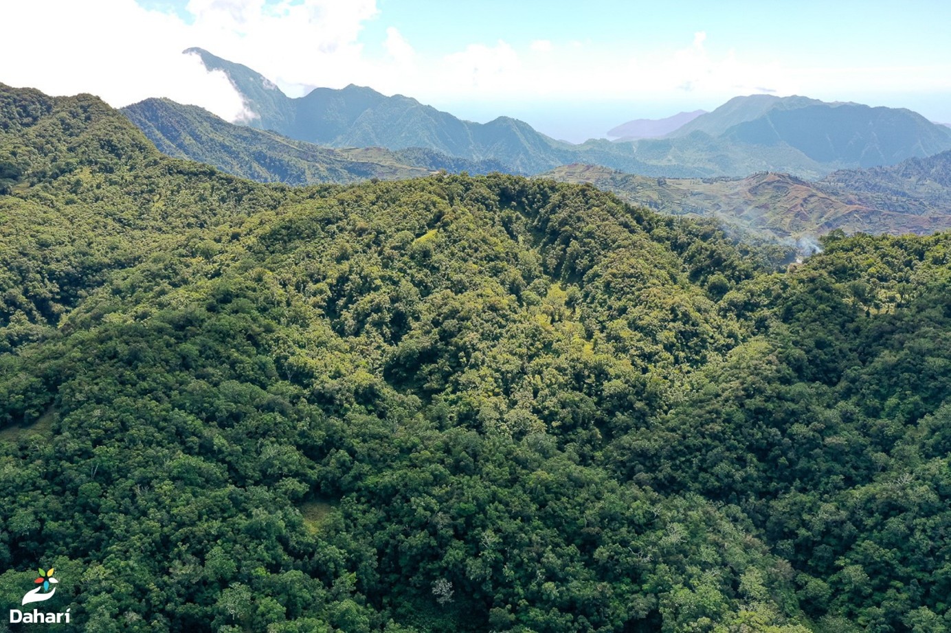 Vue aérienne de la forêt d'Anjouan à Ouzini