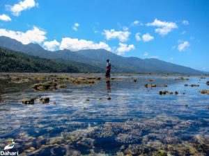 Lire la suite à propos de l’article Les incitations économiques renforcent la gestion marine communautaire aux Comores