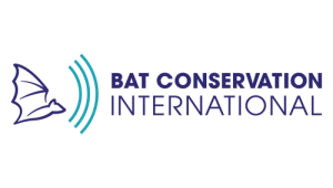 BAT-Conservation-International