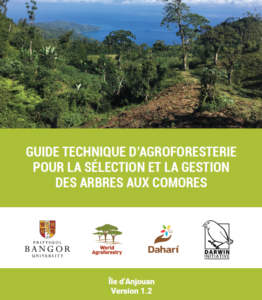 études et articles scientifiques