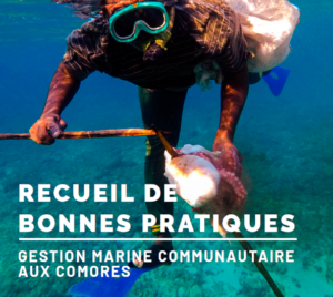 études et articles scientifiques