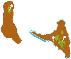 Chiffres-cles-dahari-1