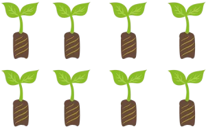 Chiffres-cles-dahari-3