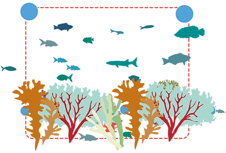Chiffres-cles-dahari-5