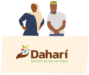 Chiffres-cles-dahari-8