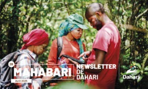 newsletter