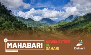 newsletter