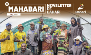 newsletter
