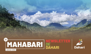 newsletter