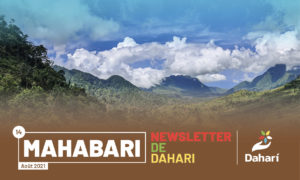newsletter