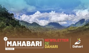 newsletter