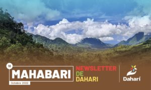 newsletter