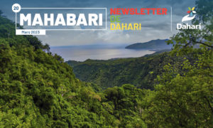 newsletter