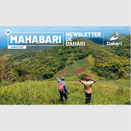 newsletter