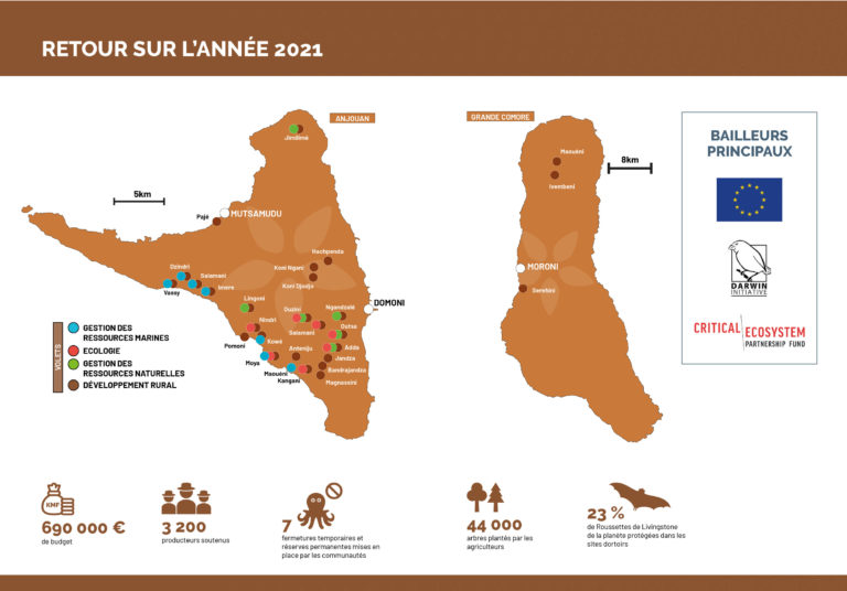 infographie 2021