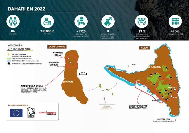 infographie 2022