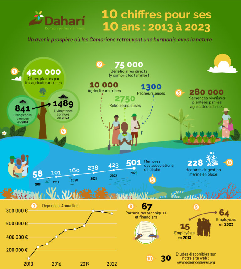 infographie 2023