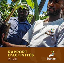 Rapport annuel 2020