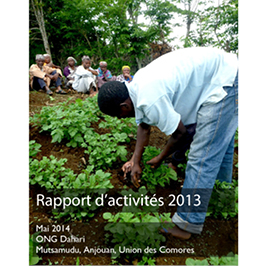 Rapport annuel 2013