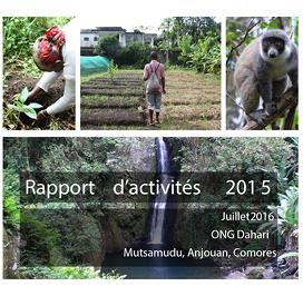 Rapport annuel 2015