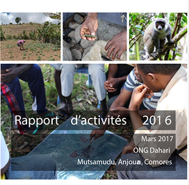 Rapport annuel 2016