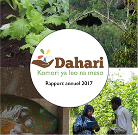 Rapport annuel 2017