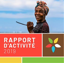 Rapport annuel 2019