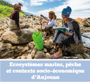 études et articles scientifiques