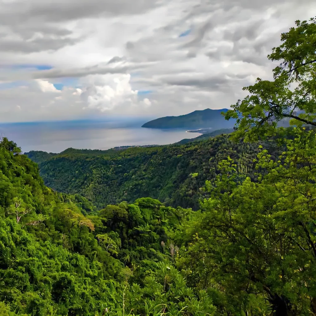 Photos-programme-Grand