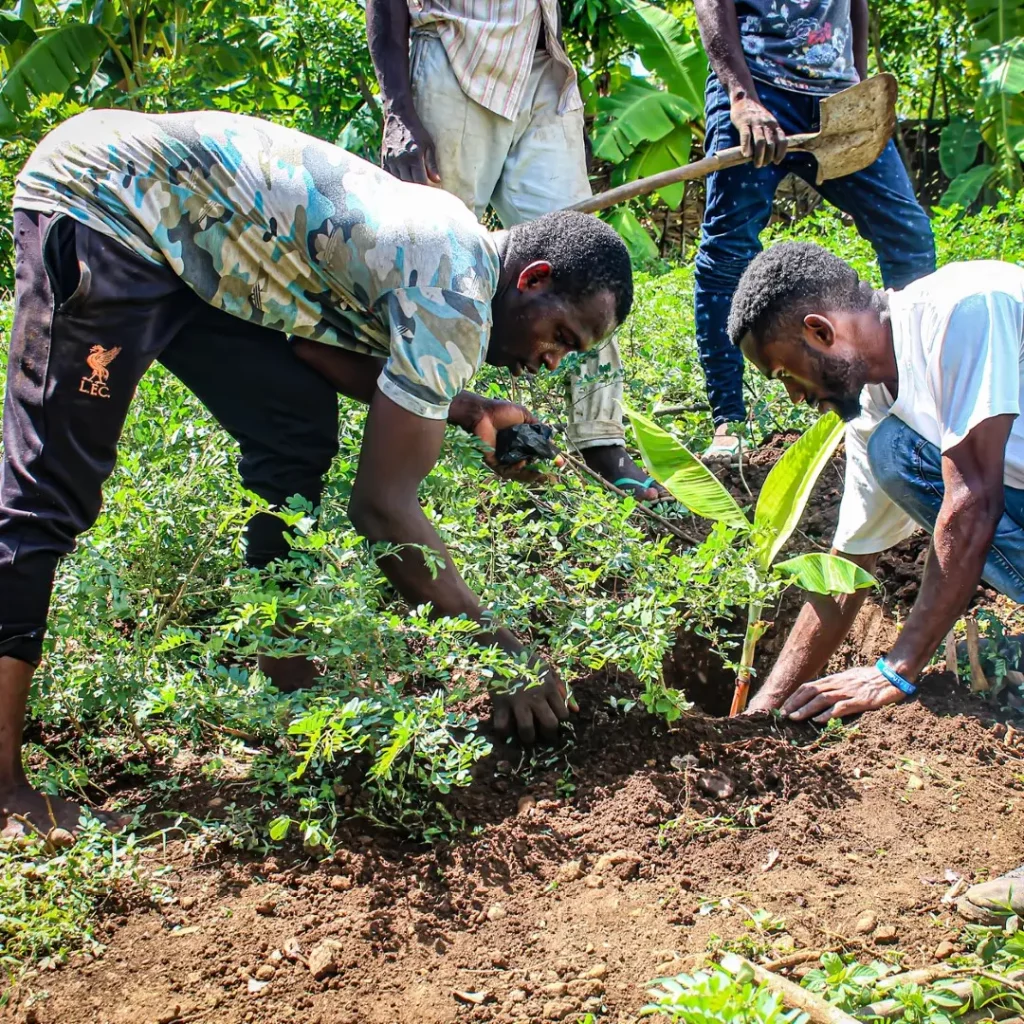 Photos-programme2-Grand