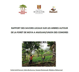 études et articles scientifiques