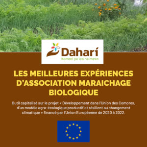 études et articles scientifiques