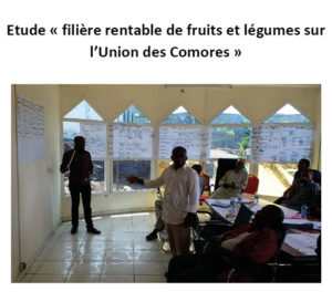 études et articles scientifiques