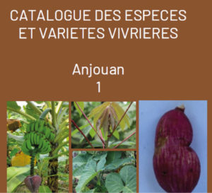 études et articles scientifiques