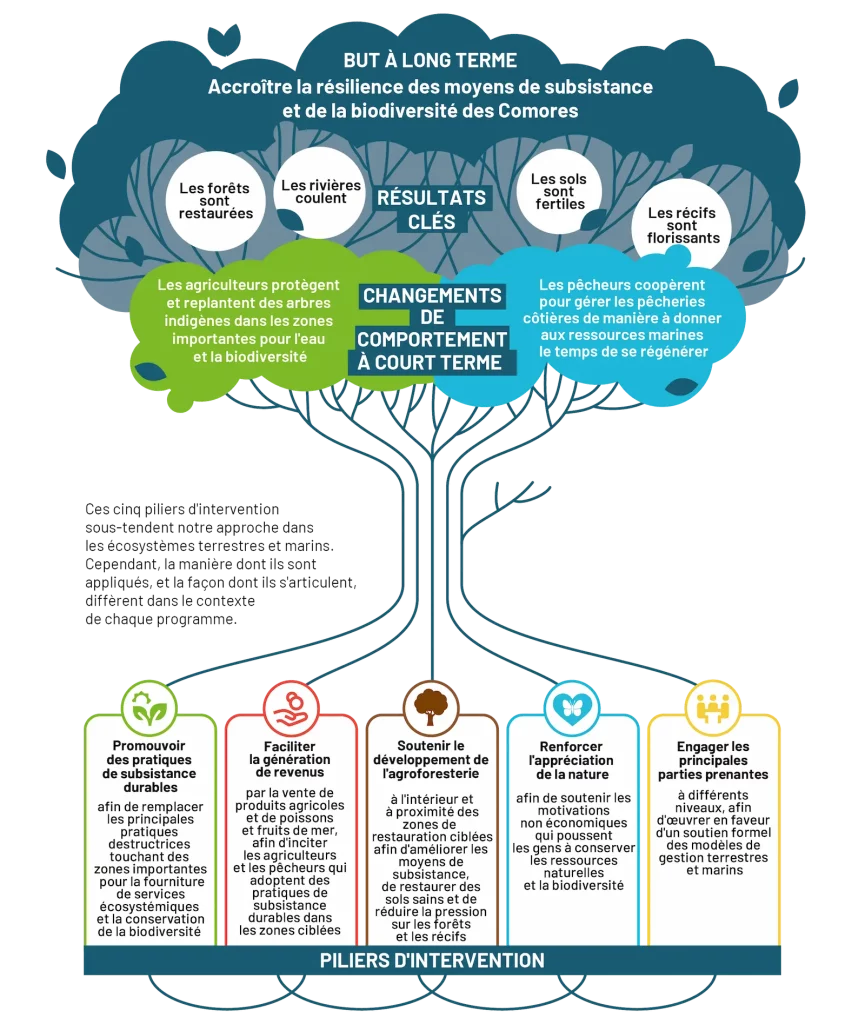 Theorie-du-changement