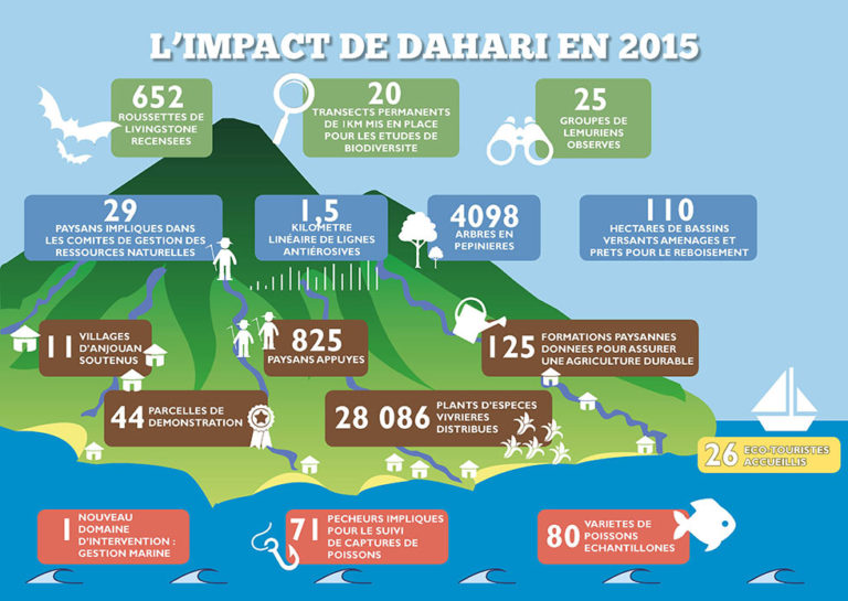 infographie-2015