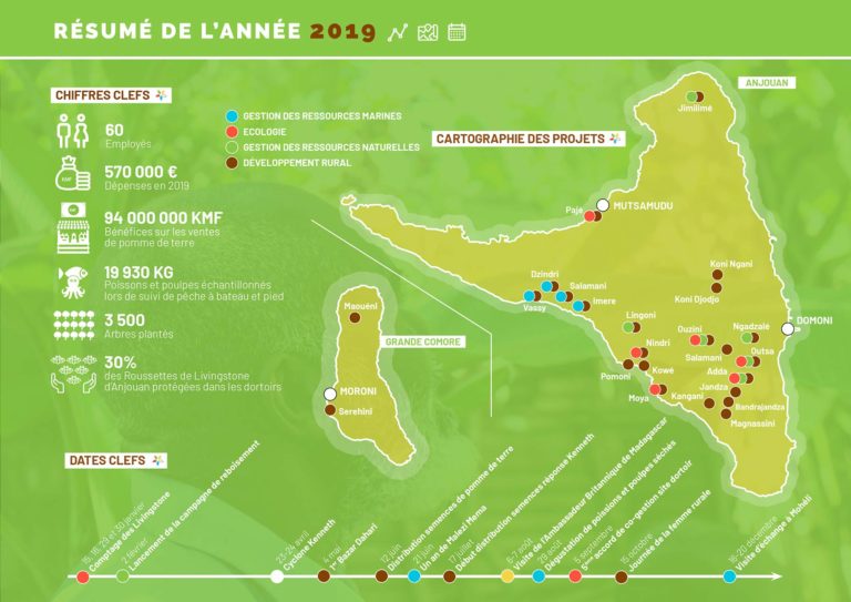 infographie 2019